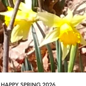 Maybe If We Start Saying It  ... It Just Might Happen SOONER :)